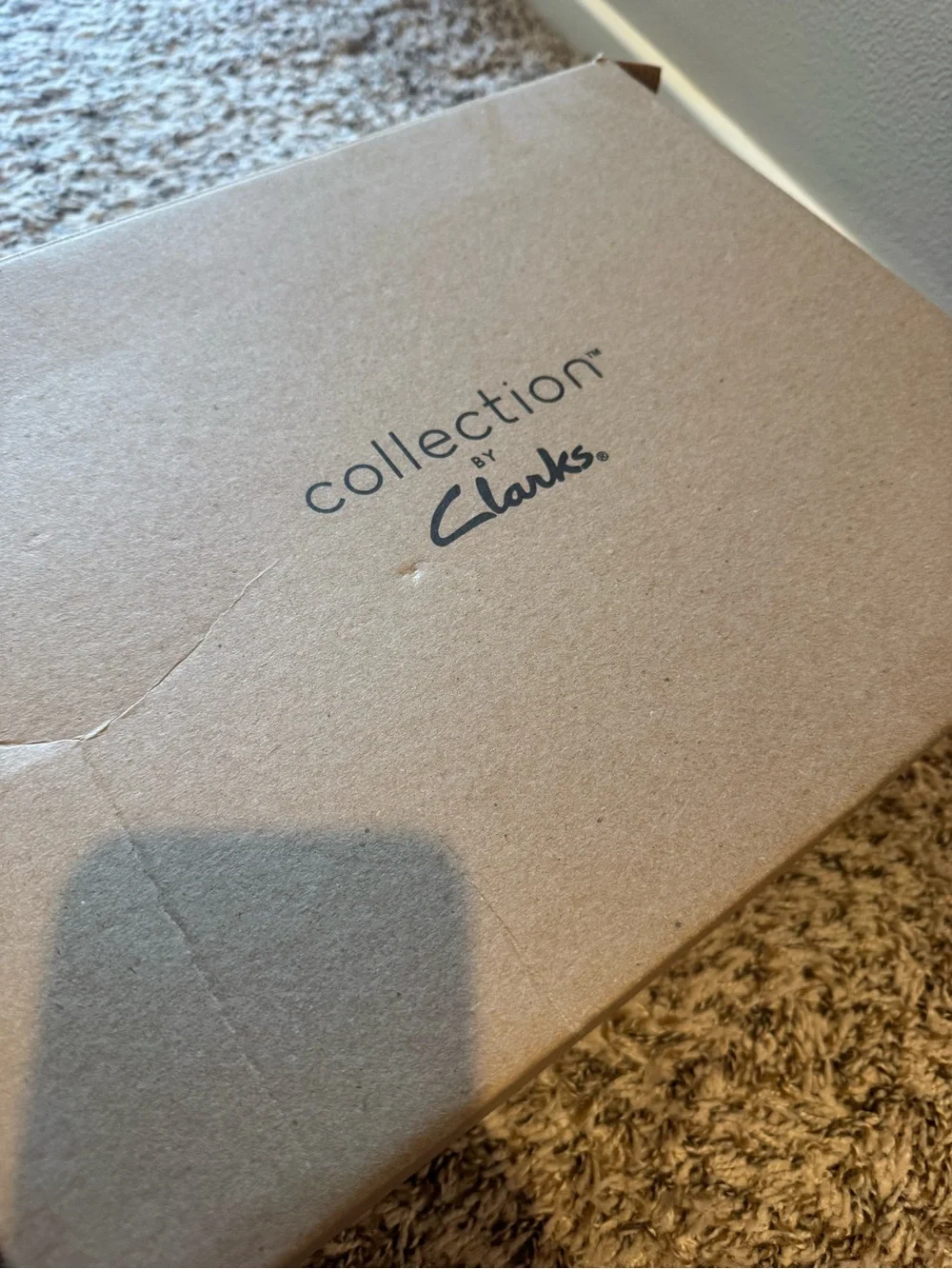 Clarks classic brown